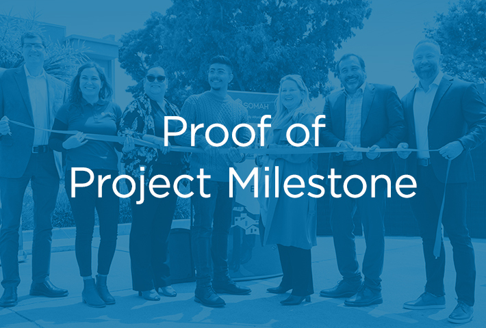 proof of project milestone